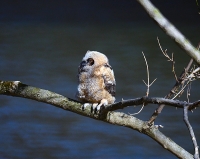 Sample Image from LO Galleries