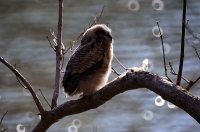 Sample Image from LO Galleries