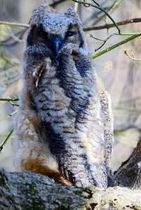 Sample Image from LO Galleries