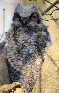 Sample Image from LO Galleries