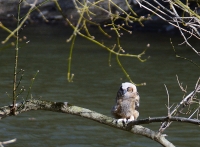 Sample Image from LO Galleries