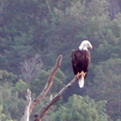 Sample Image from LO Galleries