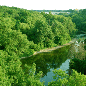Sample Image from LO Galleries
