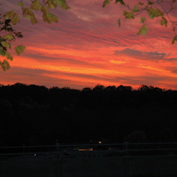 Sample Image from LO Galleries